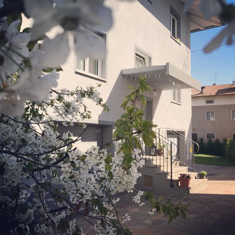 Nenez B&B ジョーヴォ エクステリア 写真